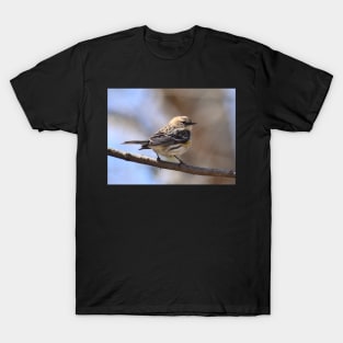 Yellow rumped Warbler T-Shirt